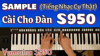 Yamaha S950 -- Bộ Sample (Tiếng Nhạc Cụ Thật) Cài Cho Đàn S950 - Rất Hay - Xứng Đáng Cài Vào Đàn