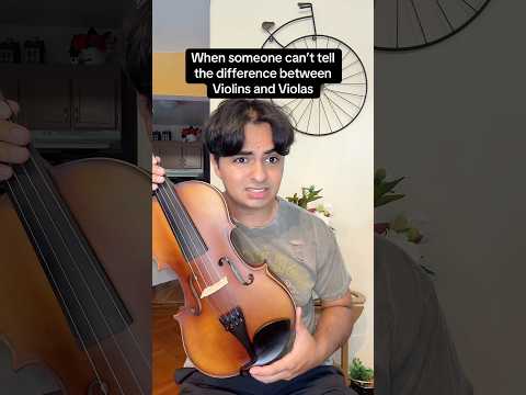 Violin V S Viola