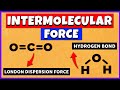 Identifying Intermolecular Forces in Molecules