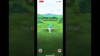 Poke Balls Looking Amazing Today