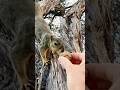 So that’s where you live! Squirrel Girl Baby G2 great to see you old friend #animals #love #family