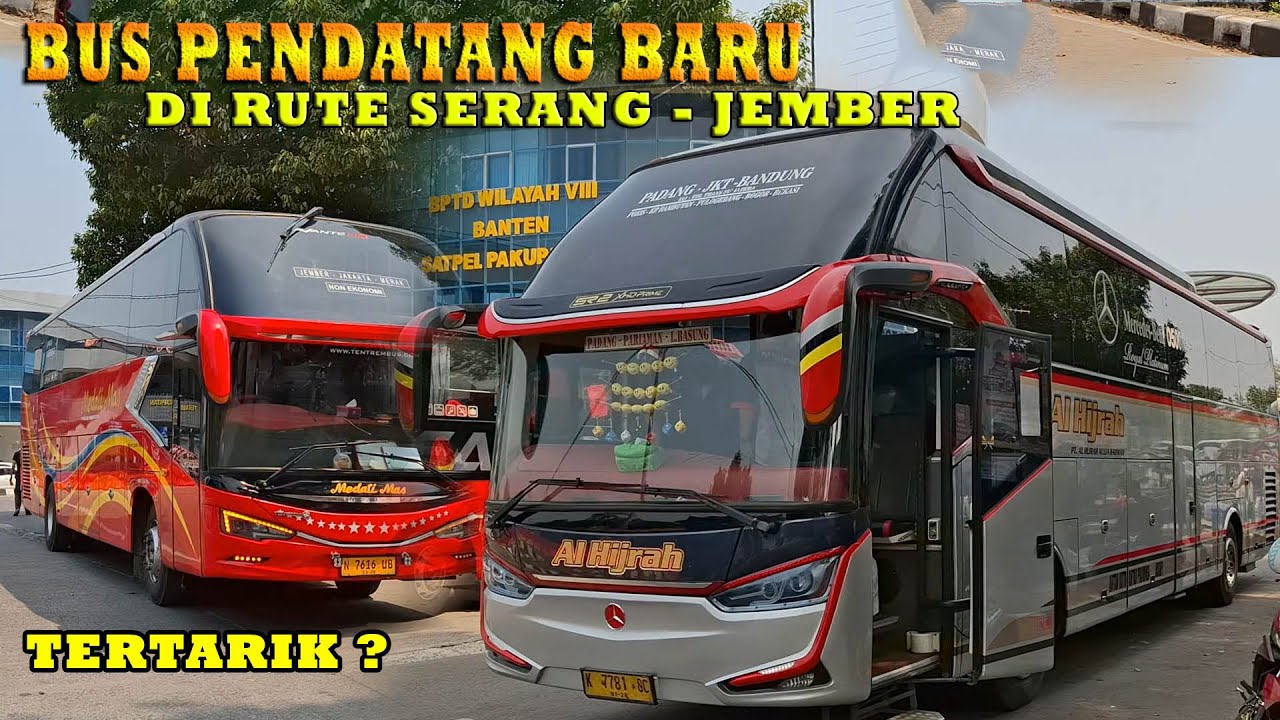 [Ada Bus Pendatang Baru Dari Serang Ke Jember] Handoyo Full SR 3 Di  Terminal Pakupatan!!