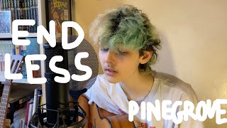 endless - pinegrove cover