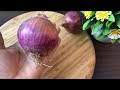 1 onion is a million times stronger than Botox, it instantly eliminates wrinkles and fine lines.