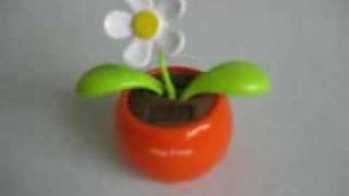 Solar Flipflap Plant