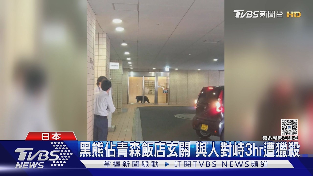 日本「熊害」又來! 100kg熊佔飯店玄關 與人對峙3hr遭獵殺｜TVBS新聞 @TVBSNEWS01