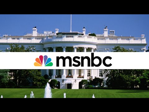 MSNBC Hired ANOTHER White House Staffer
