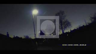 Shrinebird - Mobius