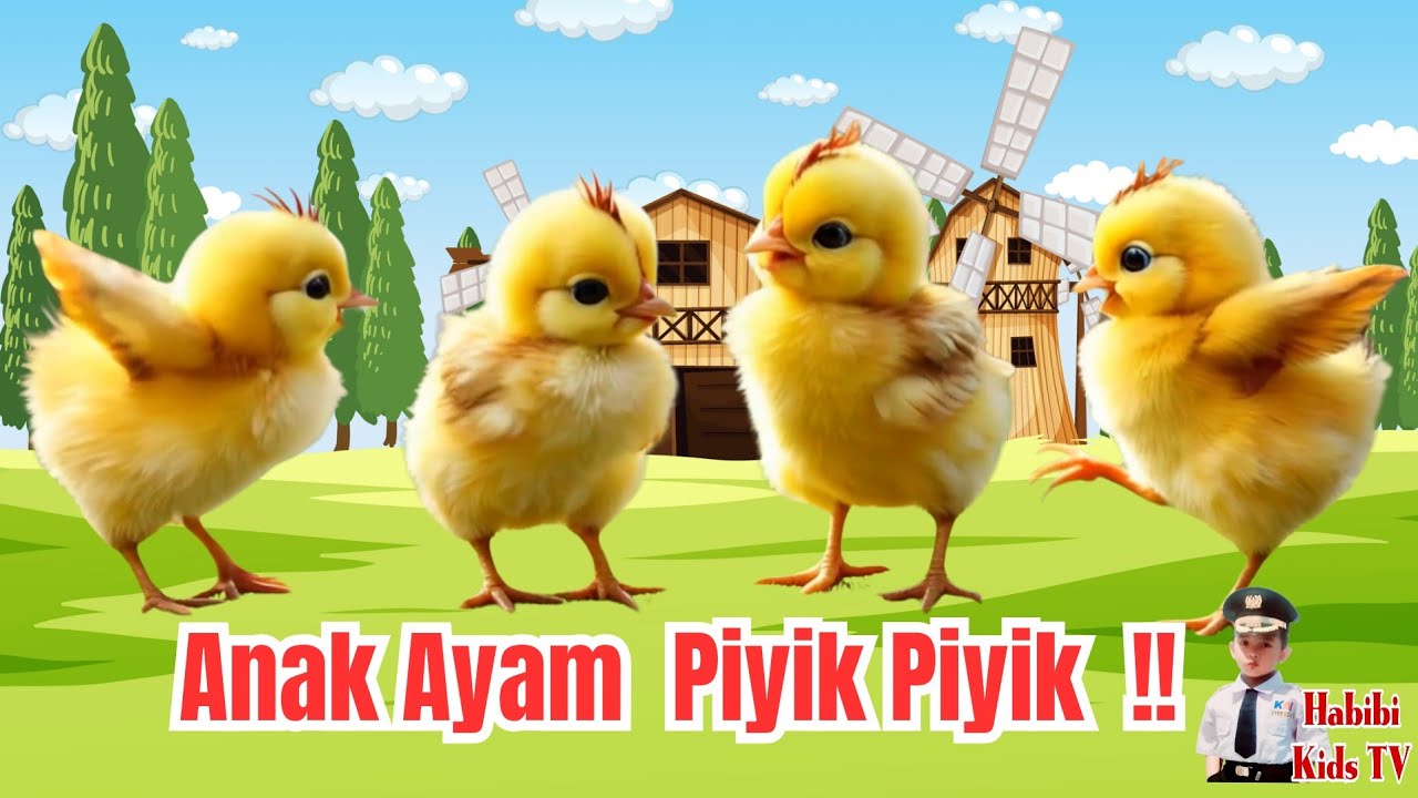 Lagu Anak populer❗ LAGU ANAK AYAM PIYIK PIYIK❗ LAGU MAZAYA❗  Lirik Lagu Anak Indonesia❗