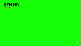 STN - Screen Bugs (19 July 2026 - Presents)