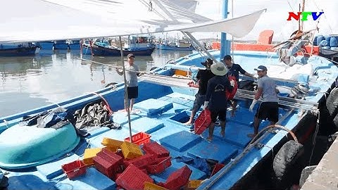 Nguy cơ ngạt khí trong hầm cá trên tàu | NTV