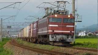 EF81貨物　3098レ　坂町～平木田間　2012.08.24