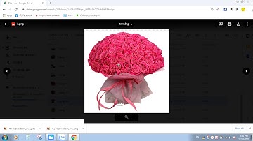 Tải File Miễn Phí DriVer Quảng Cáo In Ấn ( Tổng Hợp Cành Mai - Hoa Mai - Đào - Nhành cây ) Ghép cảnh