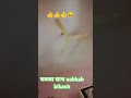 #बोल बोल बोल तुझको क्या चाहिए reel 😁🪓
