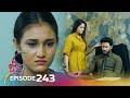 Jaanu  episode 243  20240130  itn