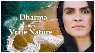 Qu'est-ce que le Dharma ? (Karma vs Dharma)