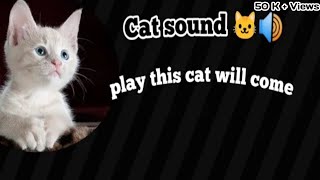 make this sound cat come to you