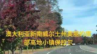 澳大利亚新南威尔士州 美丽的南部高地最大城镇———保拉尔  The beautiful Southern Highlands township of Bowral , NSW Australia