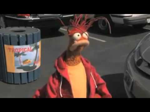 Pepe The King Prawn[Tropical Taco][Drive-Through]