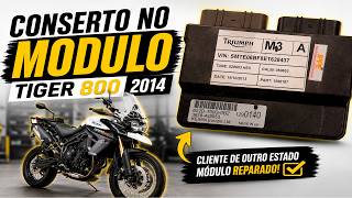 CONSERTO MODULO DA TIGER 800 2014!