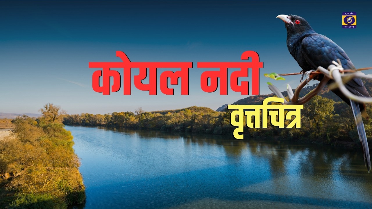 पलामू दर्शन- कोयल नदी पर वृतचित्र | DD JHARKHAND