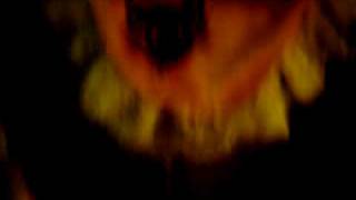 IMG_0816.AVI