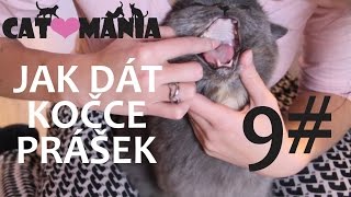 Jak dát kočce prášek? // CATMANIA #9