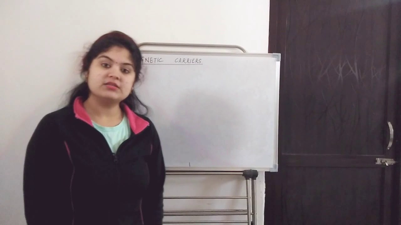 Ferromagnetic Domains