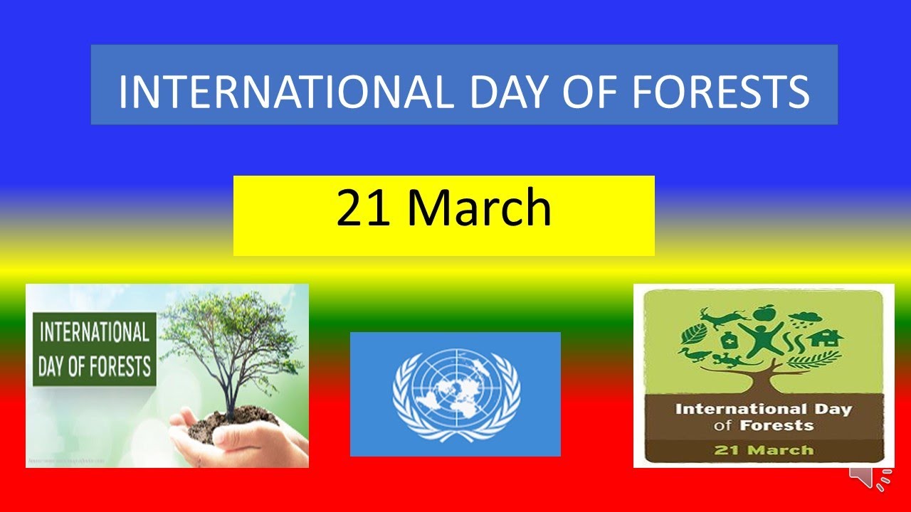International Day Of Forests 21 March 22 Youtube International Day Of Forests 21 March 22 Youtube