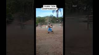 TOURO "SEM COMPROMISSO" CIA DE RODEIO LEVI GONTIJO!     #rodeio #touro #cowboys #gado