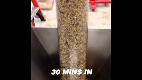 MPE Chain-Vey: Black Walnuts