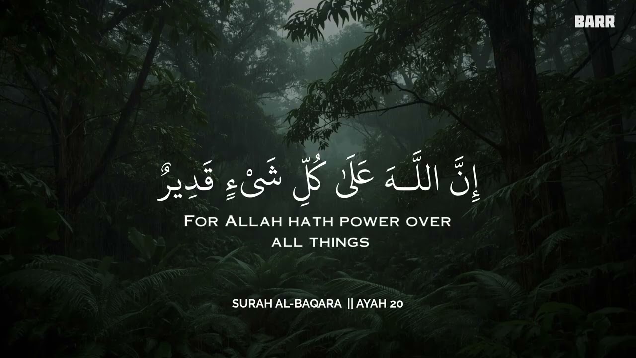 أرح سمعك.. تلاوة هادئة تريح القلب والعقل🩷😴 | ساعة كاملة🕛🎧 القارئ محمد هشام | Mohamed Hesham