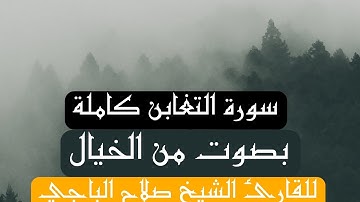 سورة التغابن كاملة للقارئ الشيخ صلاح الباجي مع منظر خيالي من تصويري لريف عفرين