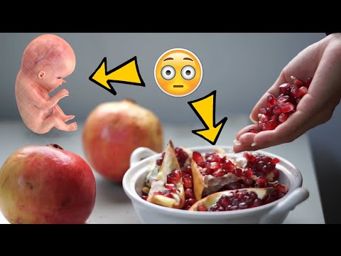 فوائد الرمان للحامل والجنين