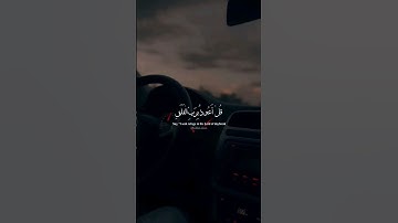 سورة الفلق بصوت الشيخ ماهر المعيقلي #quran #قران_كريم #حالات_واتس