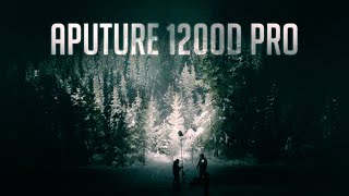 Lighting Up a Forest With Aputure 1200D PRO