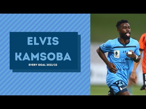 Elvis Kamsoba - Perfil de jogador 23/24