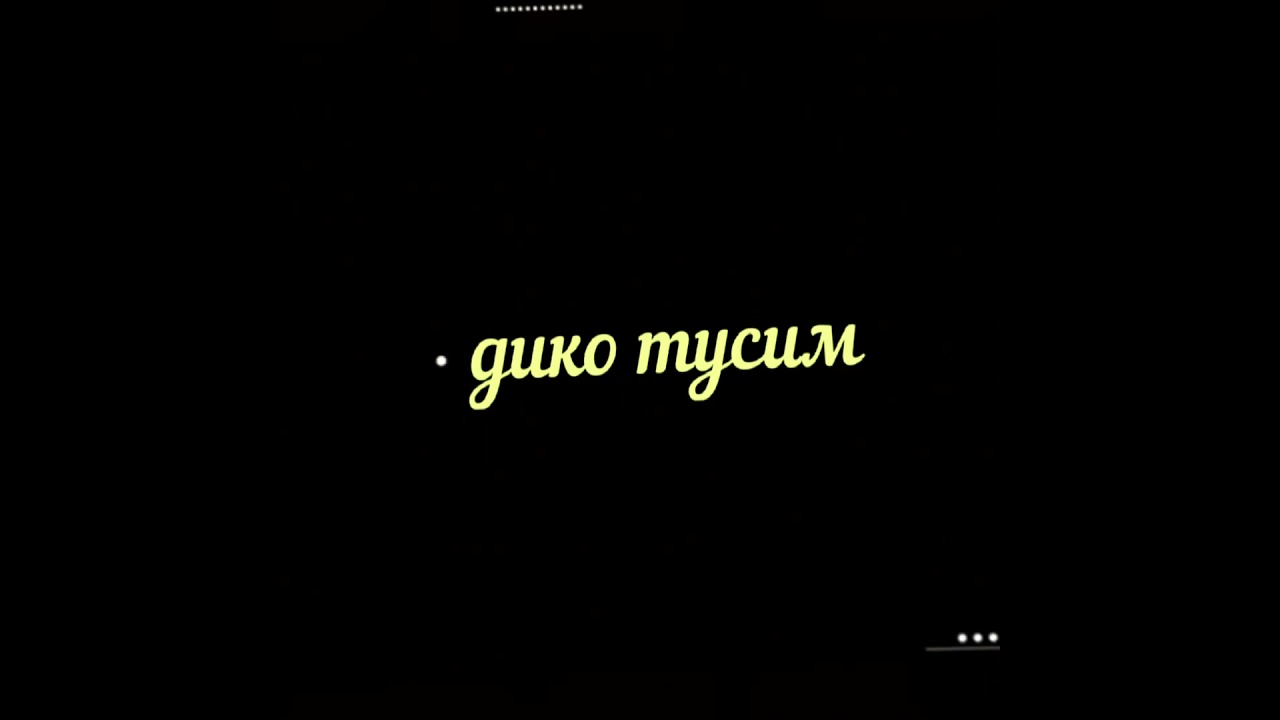 Дико тусим текст. Текст песни дико тусим. Футаж текст песни. Футаж слова никогда.