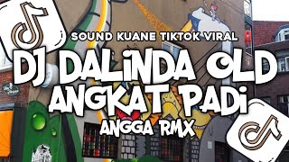 DJ DALINDA OLD X ANGKAT PADI SLOW BASS KUNAEE || COCOK BUAT NYANTAI 🎧🤙