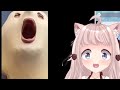 These are unexpected | VTuber Fuwa reacts to UNEXPECTED MEMES COMPILATION