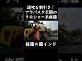 【インド修羅】ワンピースはアラバスタ王国のリキシャー修羅 #一人旅 #インド #shorts