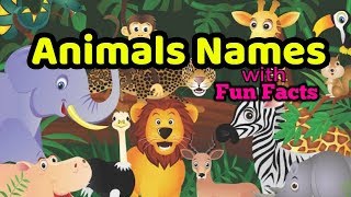 Learn A-z animals names | amazing animals fun facts