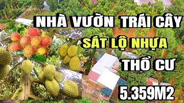 Chị phong nợ nần, đành bán gấp vườn trái cây, nhà cấp 4, thổ cư 300m2, sát lộ nhựa, cẩm mỹ Đồng Nai