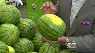 Produce Tip Of The Day: Mini Melons Fresh Grocer Mini Melons