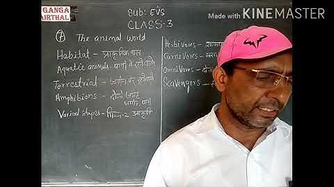 Class-3#Sub-EVS#The Animals world#Chapter-6#