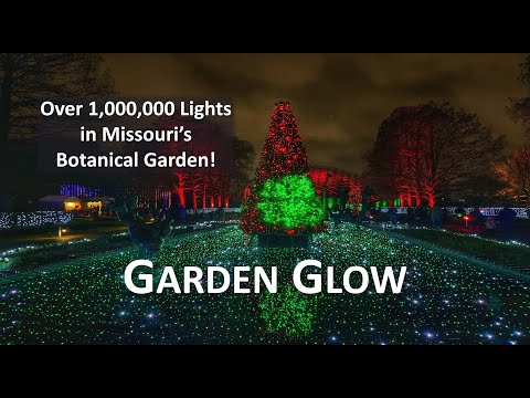 Video: Garden Glow Holiday Lights i Missouri Botanical Garden