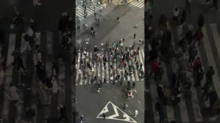 ¿Por qué no hablamos todos el mismo idioma La respuesta te va a sorprender #cienciaenespañol