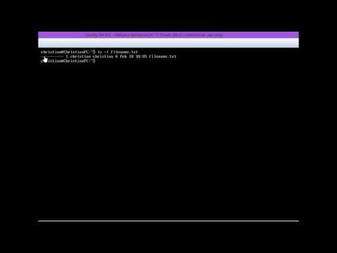 Change Permission Pt 2 (Binary)