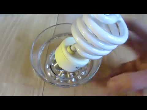 light-bulb-in-microwave:-fun-science-experiment-#science