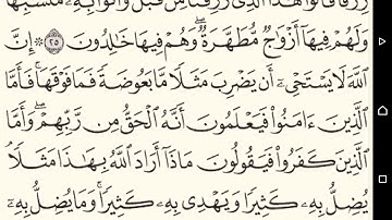 ربع (ان الله لا يستحى ان يضرب مثلا ما بعوضة)سورة البقرةمكتوبةبصوت الشيخ ياسر الدوسري /منوعات اسلامية